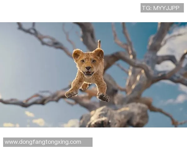 骡子哥在足球界的传奇故事与成就揭秘