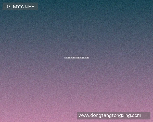 篮球明星许中豪的成长之路与辉煌成就揭秘
