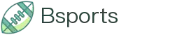必一·运动(B-Sports)官方网站