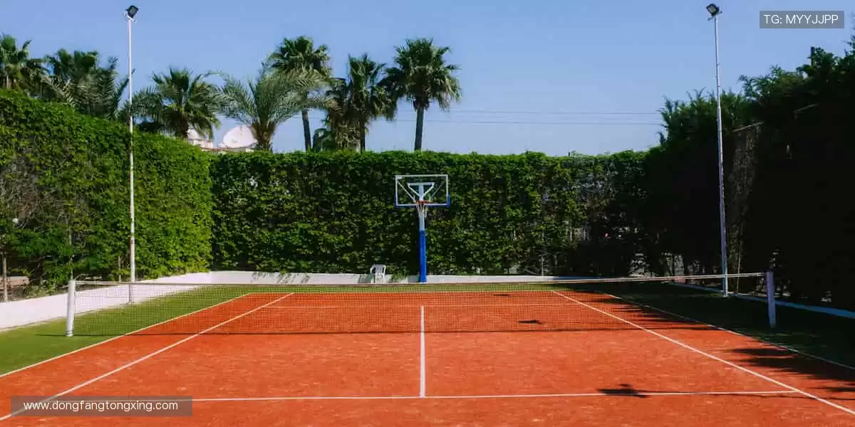 💻全球赛事，同步开启！AI 解说 + 弹幕互动，让观赛更嗨🎉